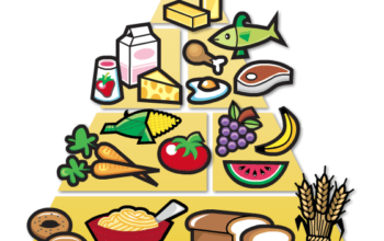 pirámide alimentaria