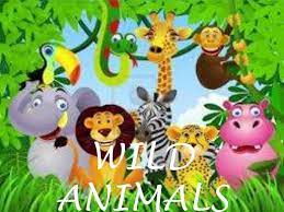 WILD-ANIMALS